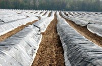 Weed Barrier Fabrics